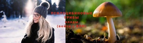 не бодяженный Алзамай