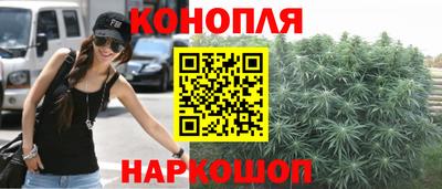 твердый Гатчина