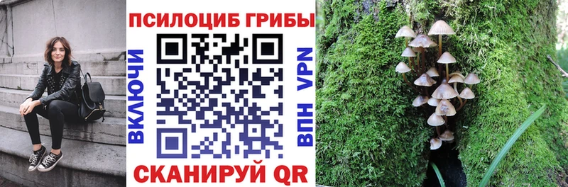 Галлюциногенные грибы Psilocybine cubensis  где можно купить   Кропоткин 