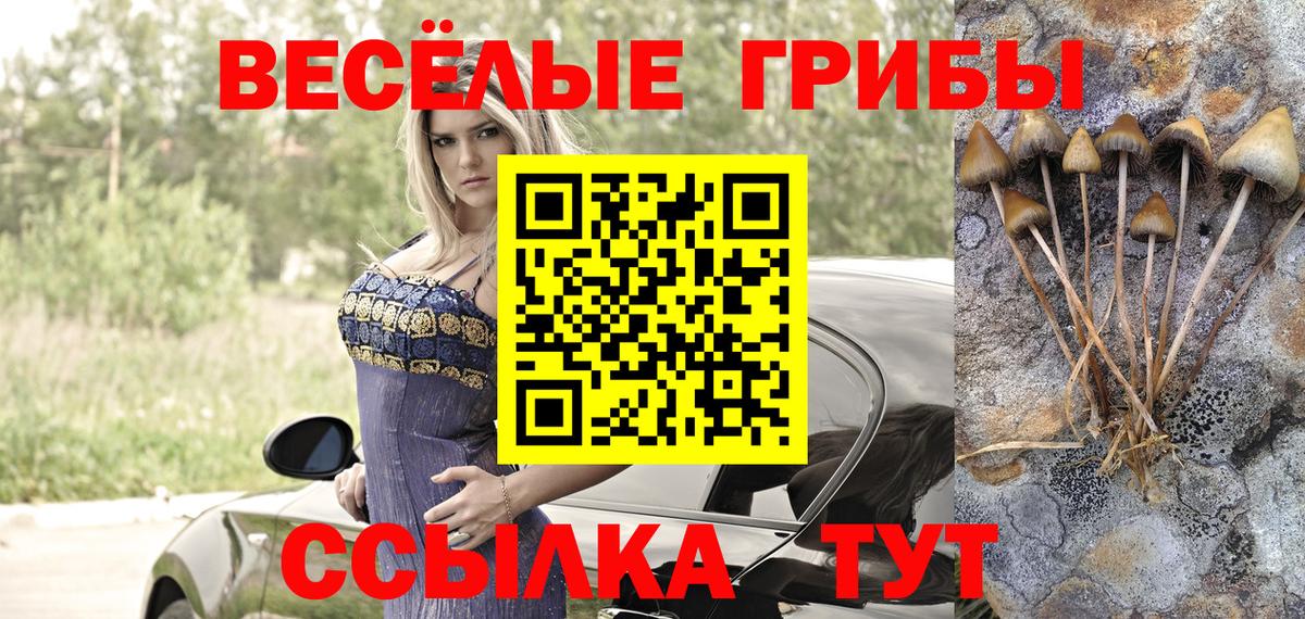 Галлюциногенные грибы MAGIC MUSHROOMS Кропоткин