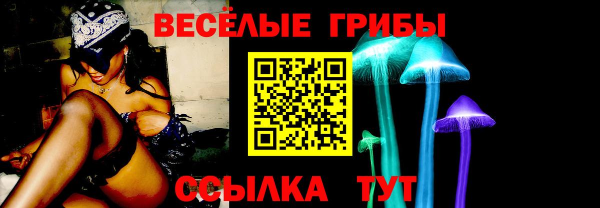 Кропоткин  Галлюциногенные грибы Psilocybine cubensis  купить наркотики цена  Вход с VPN 